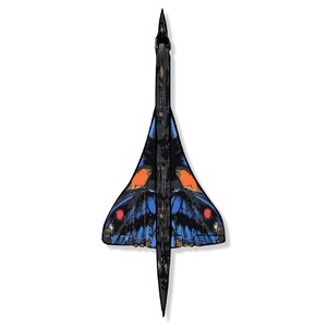 Ancyluris Concordae